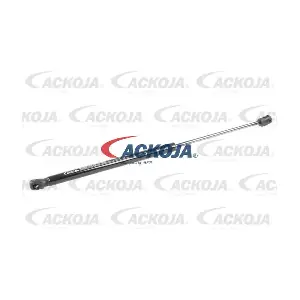 A53-0009 ACKOJA