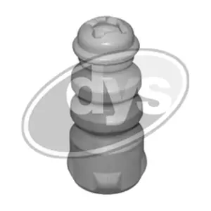 DYS 73-24079