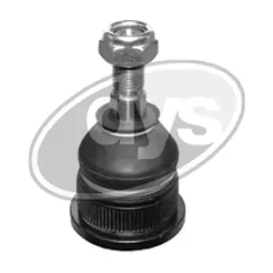 27-00255 DYS