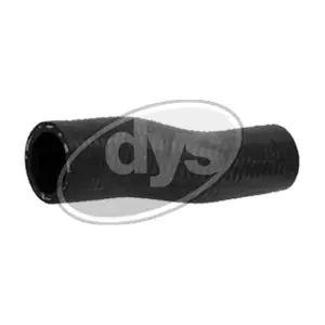 DYS 77-12584