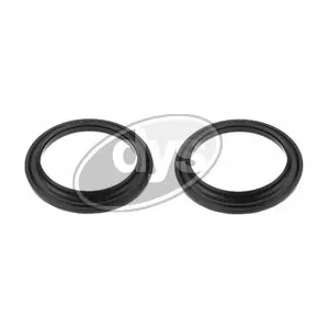 DYS 73-12924