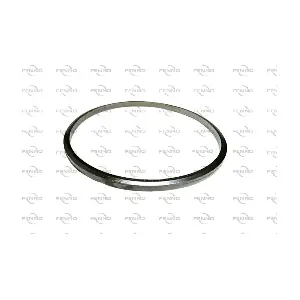 T22537 FENNO