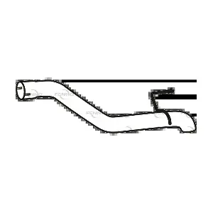 P43161 FENNO