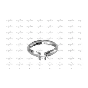 T16518 FENNO