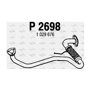 P2698 FENNO