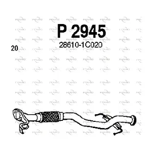 P2945 FENNO