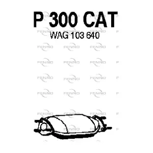 P300CAT FENNO