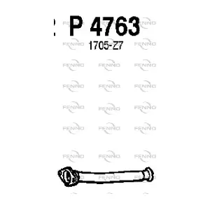 P4763 FENNO