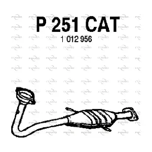 FENNO P251CAT