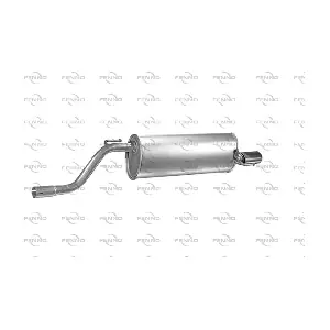 P43032 FENNO