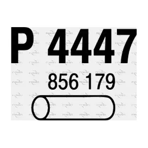 P4447 FENNO