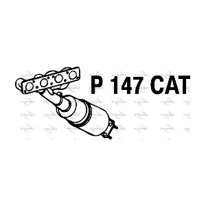 P147CAT FENNO
