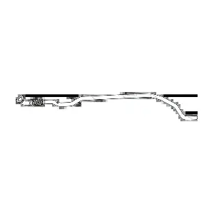 P43124 FENNO