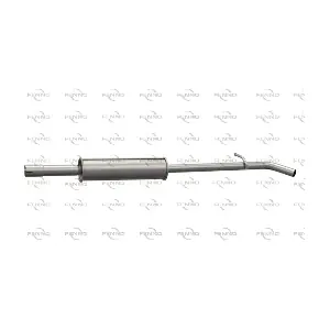 P49040 FENNO