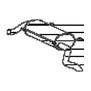 P 2248 FENNO