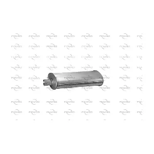 P1629 FENNO