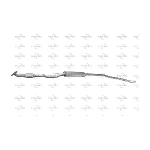 P43053 FENNO