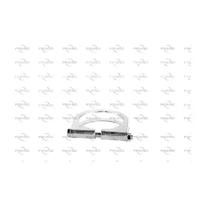T16507 FENNO