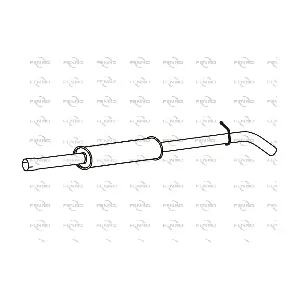 P49055 FENNO