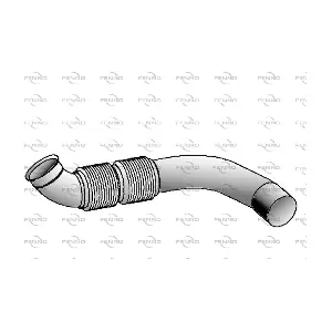 T16239 FENNO