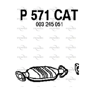 P571CAT FENNO