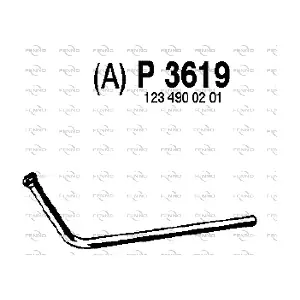 P3619 FENNO