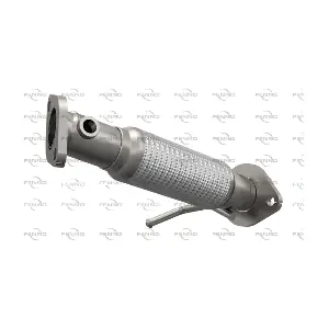 P31043 FENNO