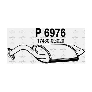 P6976 FENNO