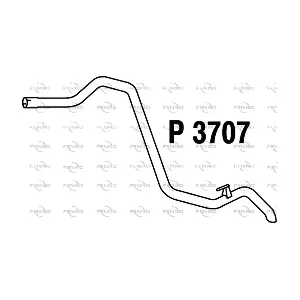 P3707 FENNO