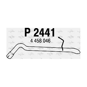P2441 FENNO