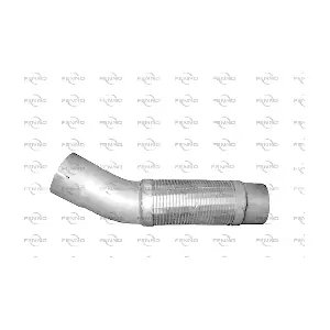 T16275 FENNO