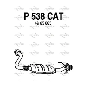 P538CAT FENNO