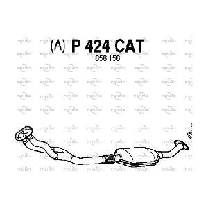 P424CAT FENNO