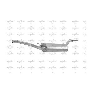 P2363 FENNO