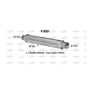 8561 FENNO
