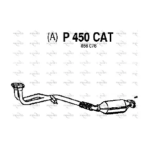FENNO P450CAT