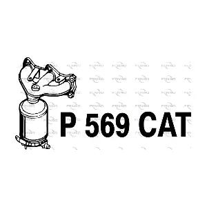 P569CAT FENNO