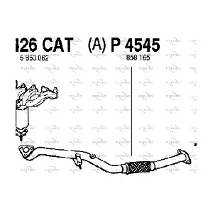 P4545 FENNO