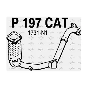 P197CAT FENNO