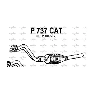 P737CAT FENNO