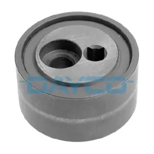 APV2055 DAYCO