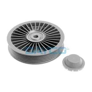 APV2181 DAYCO