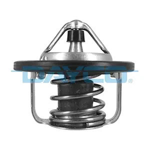 DAYCO DT1236V
