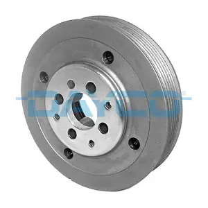 DAYCO DPV1160