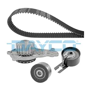 DAYCO KTBWP3100