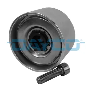 APV2456 DAYCO