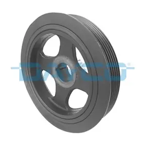 DAYCO DPV1081