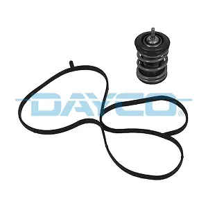 DT1264V DAYCO