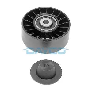 APV2179 DAYCO
