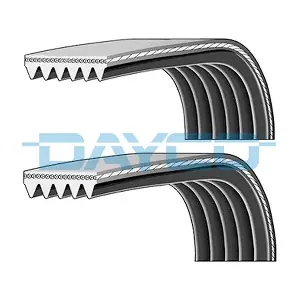 DAYCO PVE003